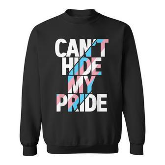 Cant Hide My Pride Transgender Trans Flag Ftm Mtf Lgbtq Sweatshirt | Mazezy