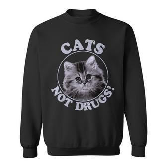 Cats Not Drugs Munchkin British Longhair Sweatshirt | Mazezy