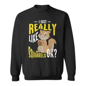 Cool I Just Really Like Squirrels Funny Chipmunk Keeper Gift Sweatshirt | Mazezy DE