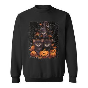 Cute Kittens And Spooky Pumpkins Halloween Witches Black Cat Sweatshirt - Monsterry AU