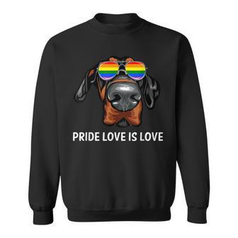 Cute Lgbt Pride Love Is Love Doberman Dog Puppy Sweatshirt | Mazezy