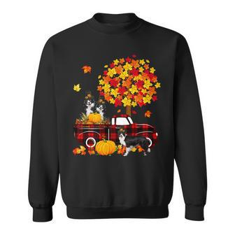 Dog Border Collie Three Border Collies On Pickup Truck Thanksgiving Fall Tree Sweatshirt - Monsterry UK