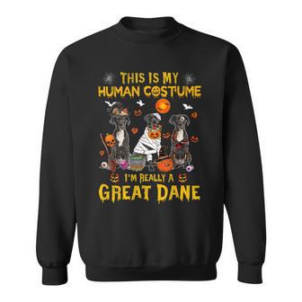 Dog Great Dane This Is My Human Costume Im Really A Great Dane Halloween Sweatshirt - Monsterry