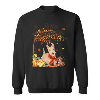Dog Scottish Terrier Maple Tree Thanksgiving Day Cute Dog Fall 1 Sweatshirt - Monsterry CA