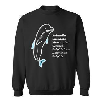Dolphin Taxonomy Marine Biology Of Dolphins Sweatshirt | Mazezy