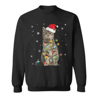 European Shorthair Cat Christmas Light Cat Lover Sweatshirt | Mazezy