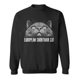 European Shorthair Cat Cat Lover European Cat Kitten Sweatshirt | Mazezy