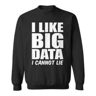 Behavior Analyst I Like Big Data I Cannot Lie Analyst Sweatshirt | Mazezy