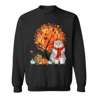 British Longhair Cat Thanksgiving Autumn Cat Lover Sweatshirt | Mazezy