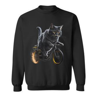 Cat Drives Bicycle Cat Lover Graphic Cats Kitten Lover Sweatshirt - Seseable