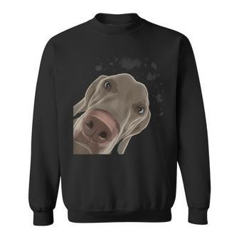 Curious Dog Weimaraner Sweatshirt | Mazezy