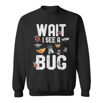Entomologist Sayings Wait I See A Bug Entomology Sweatshirt | Mazezy