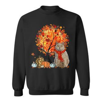 Selkirk Rex Cat Thanksgiving Autumn Cat Lover Sweatshirt | Mazezy