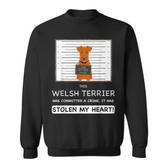Funny Welsh Terrier Sweatshirt | Mazezy