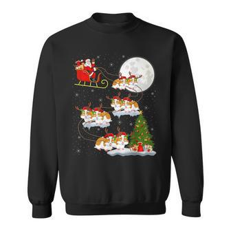 Xmas Lighting Tree Santa Riding Hamster Christmas Sweatshirt - Thegiftio UK