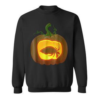 Hermit Crab Halloween Gifts For Hermit Crab Lovers Funny Gifts Sweatshirt | Mazezy DE