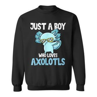 Just A Boy Who Loves Axolotls Cute Funny Kawaii Sweatshirt | Mazezy