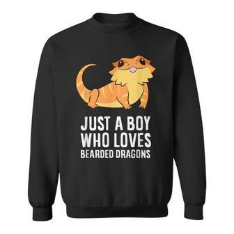 Just A Boy Who Loves Bearded Dragons Sweatshirt | Mazezy