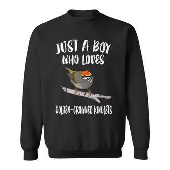 Just A Boy Who Loves Golden-Crowned Kinglets Birds Birding Sweatshirt | Mazezy