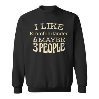 I Like Kromfohrlander & Maybe 3 People Sweatshirt | Mazezy