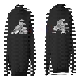 Lake Superior Agate Great For Rockhounds & Agate Lovers Sweatshirt | Mazezy