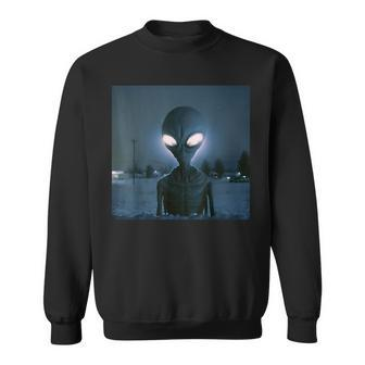 Midnight Winter Alien Alien Funny Gifts Sweatshirt | Mazezy