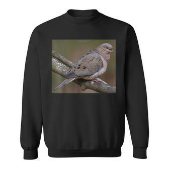 Mourning Dove Perched On A Branch Sweatshirt | Mazezy