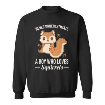 Never Underestimate A Boy Who Loves Squirrels Sweatshirt - Seseable