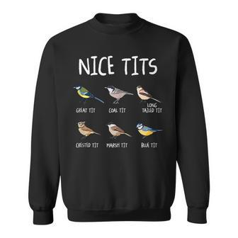 Nice Tits Funny Bird Watching Tit Birdwatcher Bird Watching Funny Gifts Sweatshirt | Mazezy