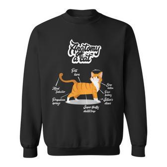 Orange Tabby Cat Anatomy Of A Cat Cute Present Sweatshirt | Mazezy UK