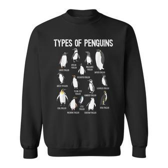 Penguin Lover Penguins Of The World Types Of Penguins Sweatshirt - Seseable