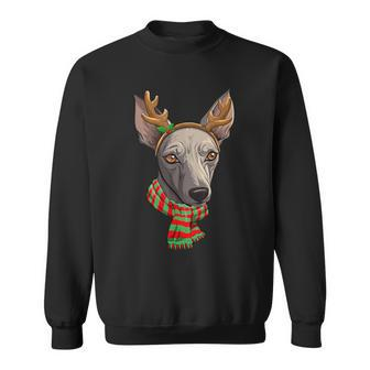 Peruvian Inca Orchid Dog Christmas Reindeer Santa Hat Sweatshirt | Mazezy