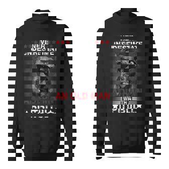 Pitbull Never Underestimate Sweatshirt | Mazezy