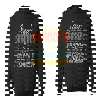 Proud Grandpa Of Official Nager 13Th Birthday 13 Yrs Old Sweatshirt | Mazezy