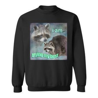 Raccoon I Am Trying My Best Sad Sweatshirt - Monsterry