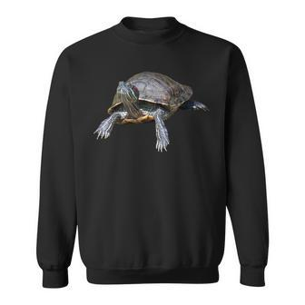 Red-Eared Slider Turtle Sweatshirt | Mazezy