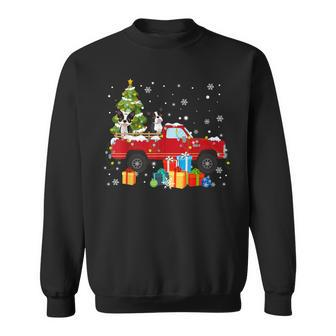 Red Truck Pick Up Christmas Tree Boston Terrier Dog Lover Sweatshirt | Mazezy