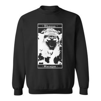Rhesus Macaque Monkey Sweatshirt | Mazezy
