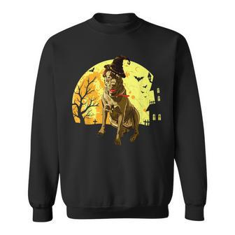 Scary Italian Cane Corso Dog Witch Hat Halloween Sweatshirt | Mazezy