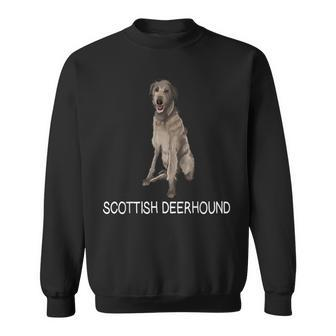 Scottish Deerhound Crazy Dog Lover Sweatshirt | Mazezy