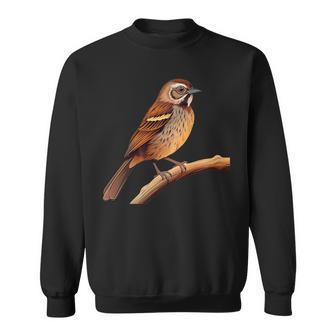 Song Sparrow Bird Lover Illustration Sweatshirt | Mazezy