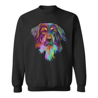 Splash Dog Hovawart Sweatshirt | Mazezy