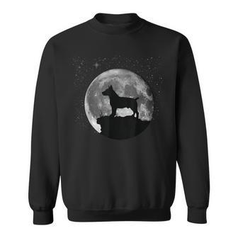 Teddy Roosevelt Terrier Dog Clothes Sweatshirt | Mazezy