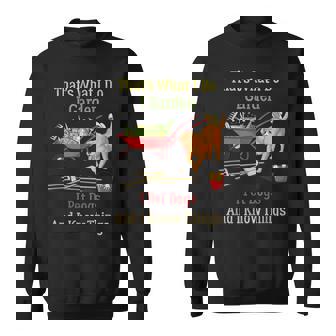 Thats What I Do I Garden I Pet Dogs And I Know Things Funny Sweatshirt | Mazezy