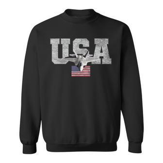 Usa Patriotic American Flag Fighter Jet Design Patriotic Funny Gifts Sweatshirt | Mazezy