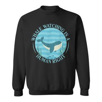 Whale Watching Is A Human Right Whale Lover Marine Scientist Sweatshirt | Mazezy
