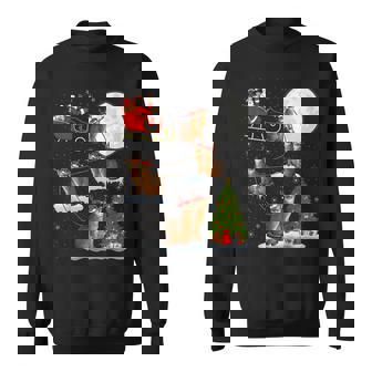 Xmas Lighting Tree Santa Riding Abyssinian Cat Christmas Sweatshirt - Thegiftio