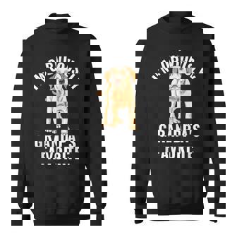 Yellow Lab Grandpa Favorite Labrador Retriever Sweatshirt | Mazezy