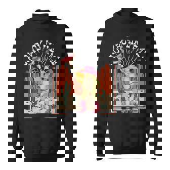 Youre A Cowboy Like Me Funny Frog Pink Cowboy Hat Cowgirl Sweatshirt | Mazezy