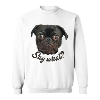 Cute Pug Smashed Nose Dog Say What Attitude Pup Pride Sweatshirt | Mazezy